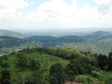 Mairiporã Mairiporã/SP
