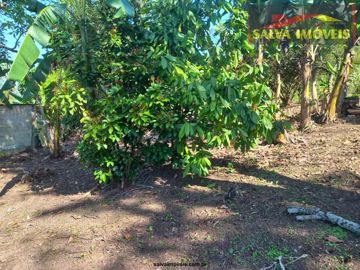 Foto do imóvel Chácara Fazenda Sítio em Atibaia