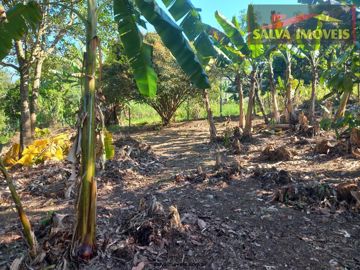 Foto do imóvel Chácara Fazenda Sítio em Atibaia