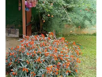 Foto do imóvel Chácara Fazenda Sítio em Mairiporã