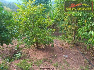 Foto do imóvel Chácara Fazenda Sítio em Atibaia