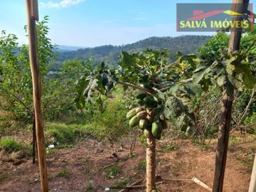 Foto do imóvel Chácara Fazenda Sítio em Atibaia