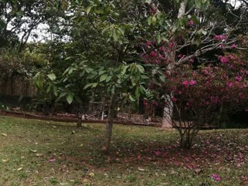 Foto do imóvel Chácara Fazenda Sítio em Mairiporã