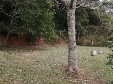Foto do imóvel Chácara Fazenda Sítio em Mairiporã
