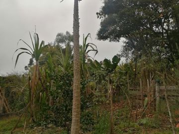 Foto do imóvel Chácara Fazenda Sítio em Mairiporã