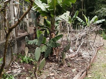 Foto do imóvel Chácara Fazenda Sítio em Mairiporã
