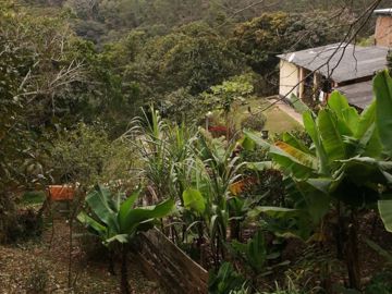 Foto do imóvel Chácara Fazenda Sítio em Mairiporã