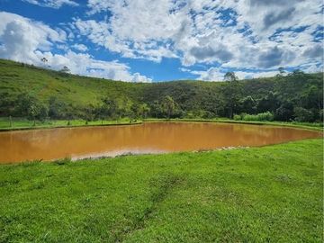 Foto do imóvel Chácara Fazenda Sítio em Nazare Paulista