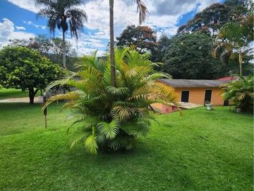 Foto do imóvel Chácara Fazenda Sítio em Nazare Paulista