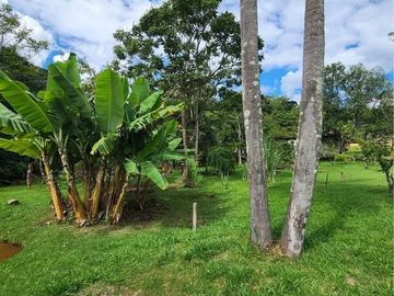 Foto do imóvel Chácara Fazenda Sítio em Nazare Paulista
