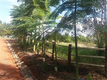 Bragança Paulista Bragança Paulista/SP