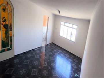 São Paulo São Paulo/SP