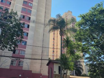R$         290.000,00  AP-390
