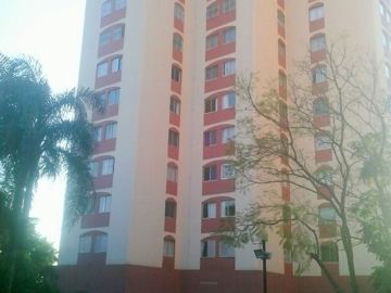 R$         290.000,00  AP-390