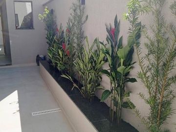 R$         229.000,00  AP-397