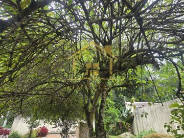 Foto do imóvel Casa em Niteroi
