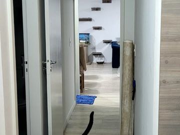 Foto do imóvel Apartamento em Jundiaí
