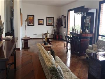 São Paulo São Paulo/SP