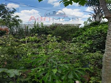   R$         250.000,00