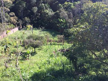 Cotia Cotia/SP