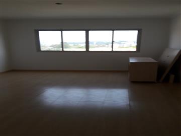 São Paulo São Paulo/SP