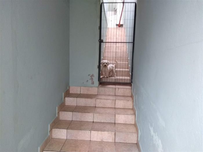 cat cid val cat