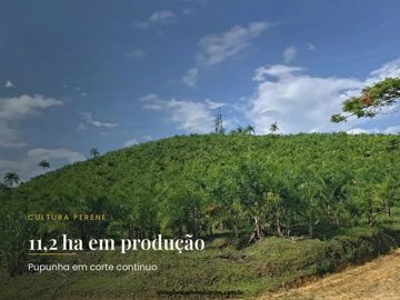 Foto do imóvel Casa em Registro