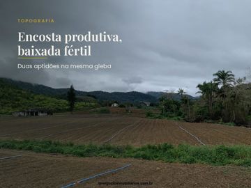 Foto do imóvel Chácara Fazenda Sítio em Juquia