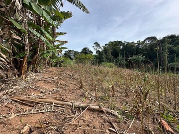 Foto do imóvel Chácara Fazenda Sítio em Atibaia