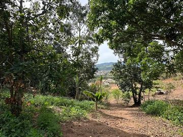 Foto do imóvel Chácara Fazenda Sítio em Atibaia
