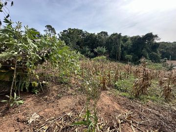 Foto do imóvel Chácara Fazenda Sítio em Atibaia