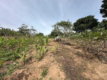Foto do imóvel Chácara Fazenda Sítio em Atibaia