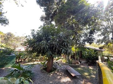 Foto do imóvel Chácara Fazenda Sítio em Mairiporã