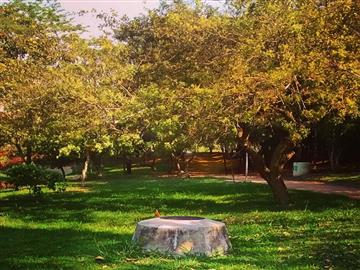 Sorocaba Sorocaba/SP