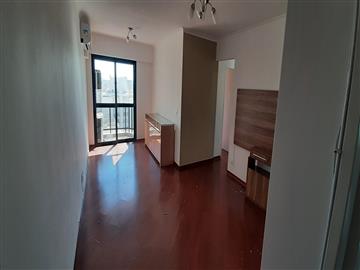 São Paulo São Paulo/SP