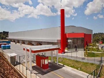 Araquari Araquari/SC