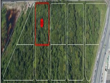 Praia Grande Praia Grande/SP