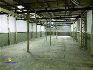 São Paulo São Paulo/SP