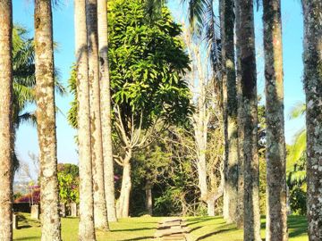 Foto do imóvel Chácara Fazenda Sítio em São Roque