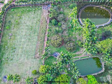 Foto do imóvel Chácara Fazenda Sítio em São Roque