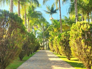 Foto do imóvel Chácara Fazenda Sítio em São Roque