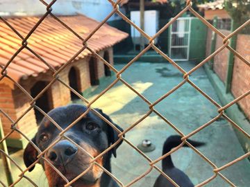 Foto do imóvel Chácara Fazenda Sítio em São Roque