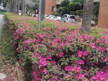 Foto do imóvel Apartamento em Barueri
