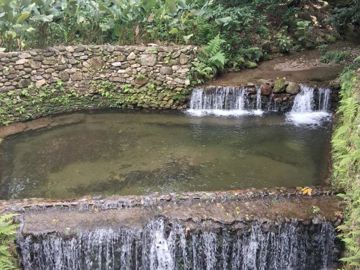 Foto do imóvel Casa em São Sebastião