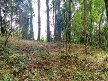 Monte Verde Monte Verde/MG