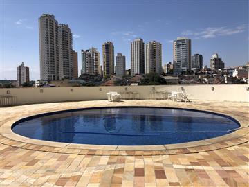 Apartamentos em Condomínio São Paulo R$         530.000,00