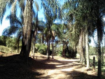 Amparo Amparo/SP