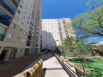 Campinas Campinas/SP