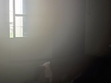 Foto do imóvel Apartamento em Campinas