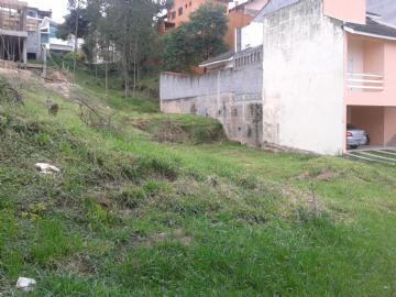 Mogi das Cruzes Mogi das Cruzes/SP